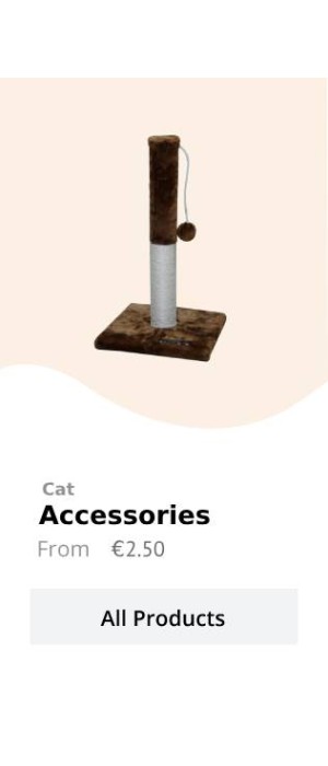 Cat 3