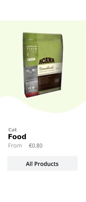 Cat 4