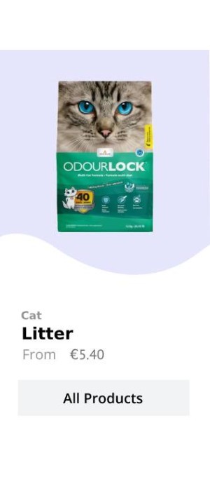 Cat 5